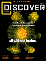 Discover – Summer 2026.pdf
